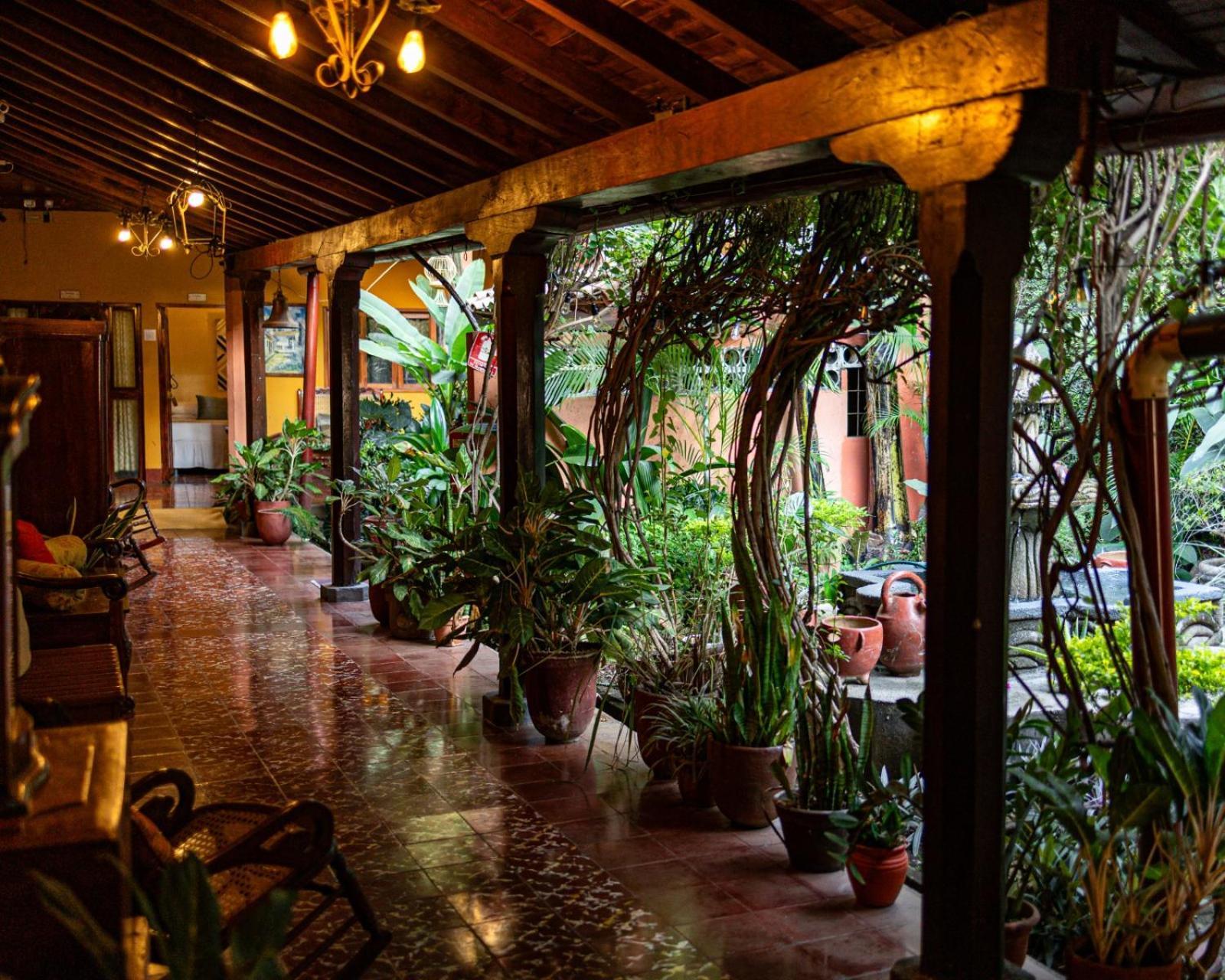 Hostal Fuente Castalia, B Y B เลออน ภายนอก รูปภาพ