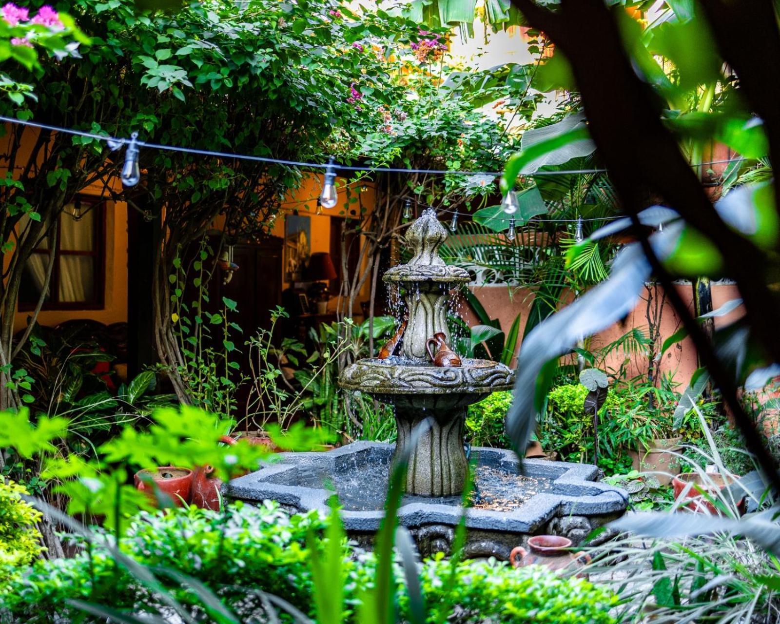 Hostal Fuente Castalia, B Y B เลออน ภายนอก รูปภาพ